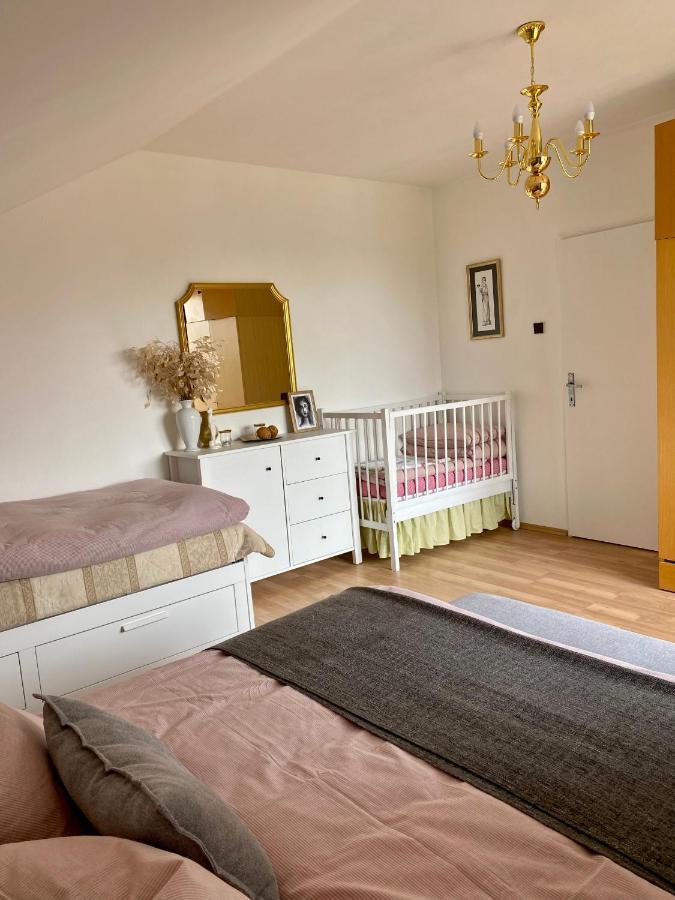 Apartman U Babicky Česká Skalice Екстериор снимка