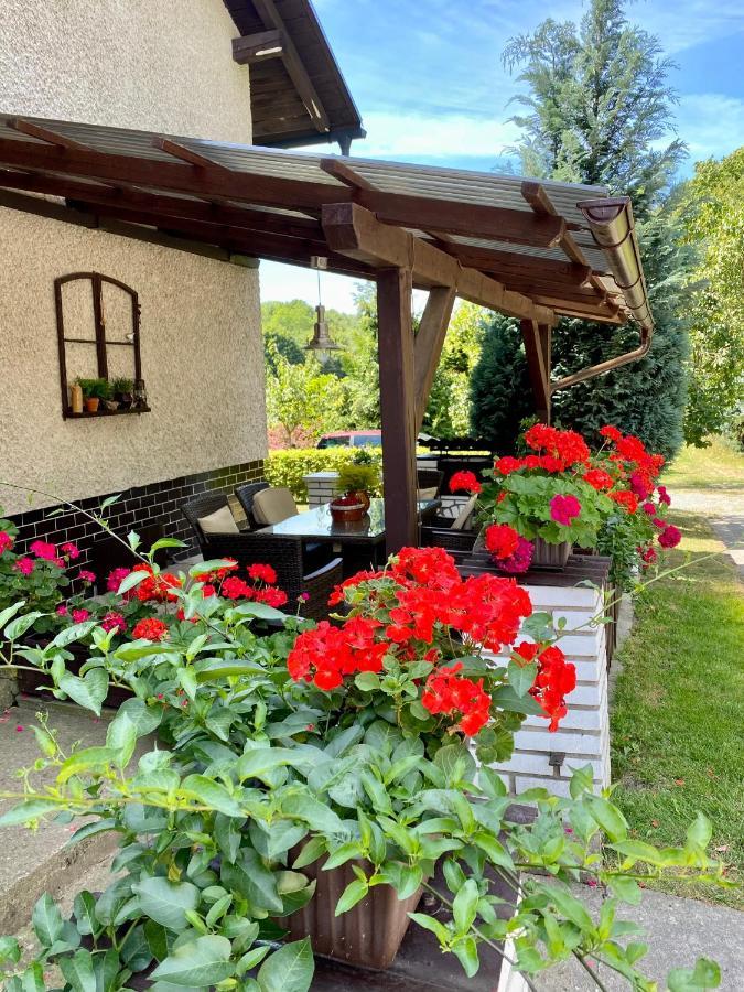 Apartman U Babicky Česká Skalice Екстериор снимка
